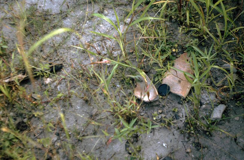 image003.jpg