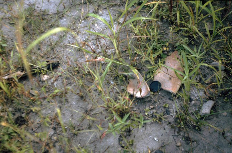image006.jpg