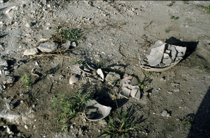 image010.jpg