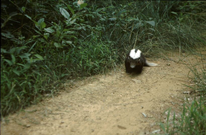 image043.jpg