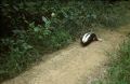 image044.jpg