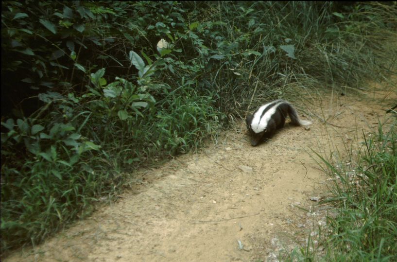 image045.jpg