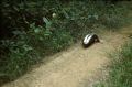 image045.jpg