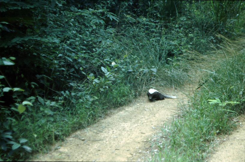image046.jpg