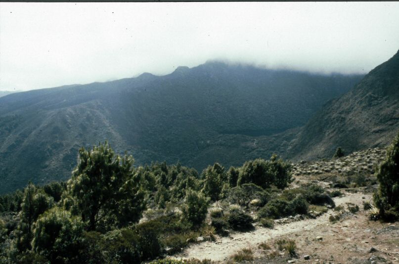 image0004.jpg