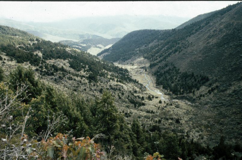 image0008.jpg