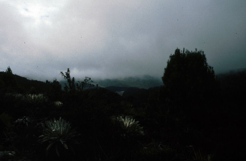 image0010.jpg