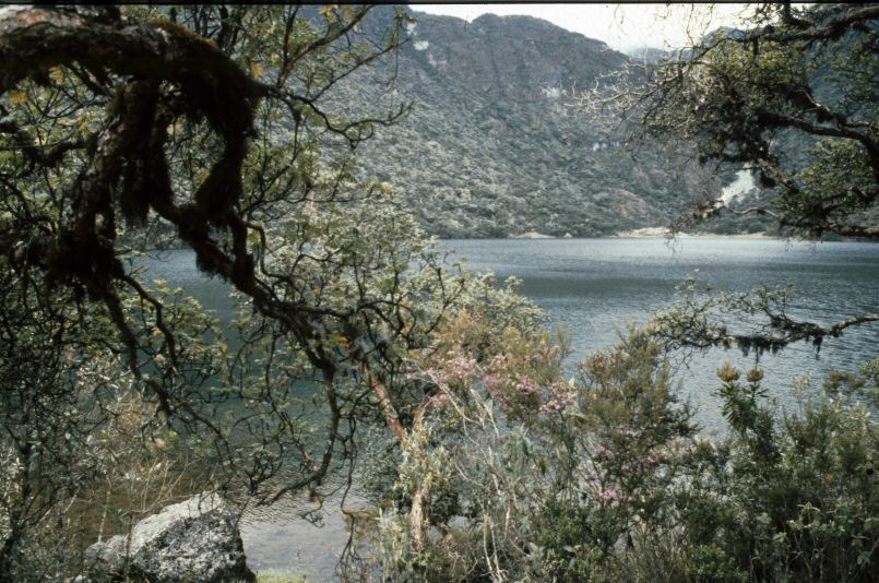 image0011.jpg