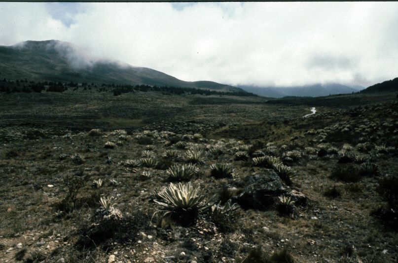 image0012.jpg