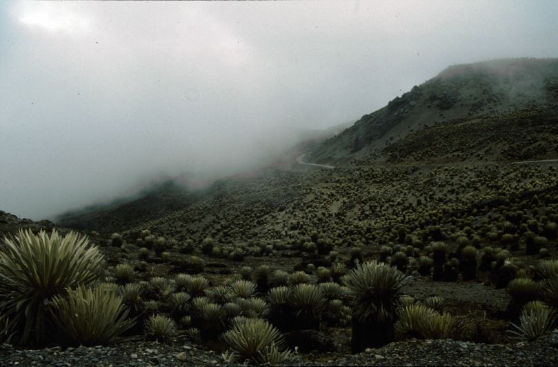 image0019.jpg