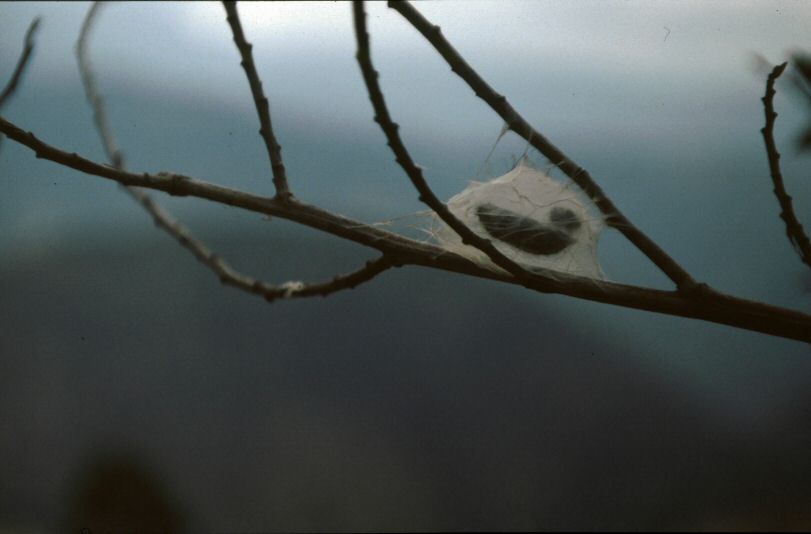 image0034.jpg
