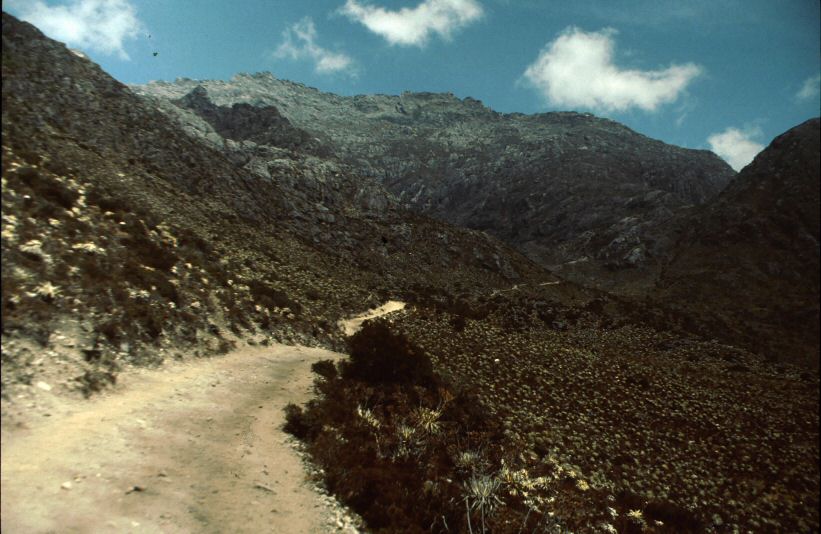 image0047.jpg