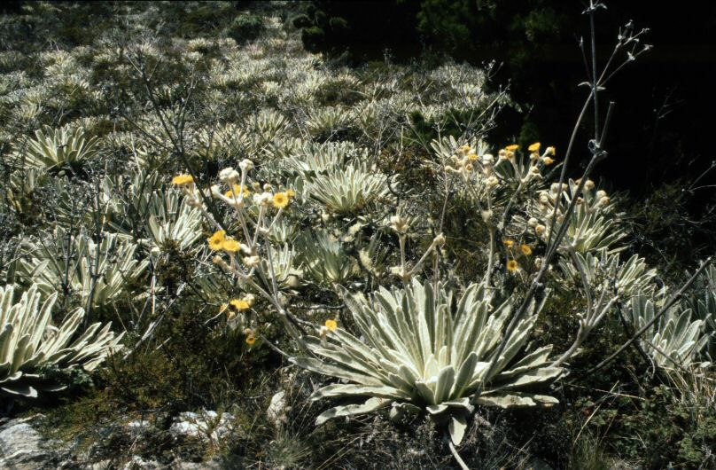 image0187.jpg