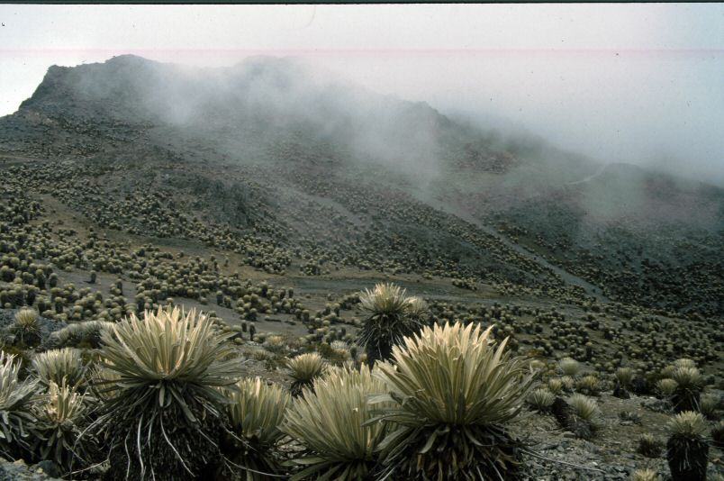 image0195.jpg