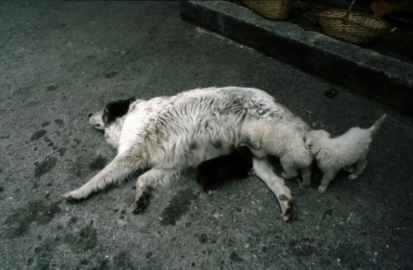 image0204.jpg