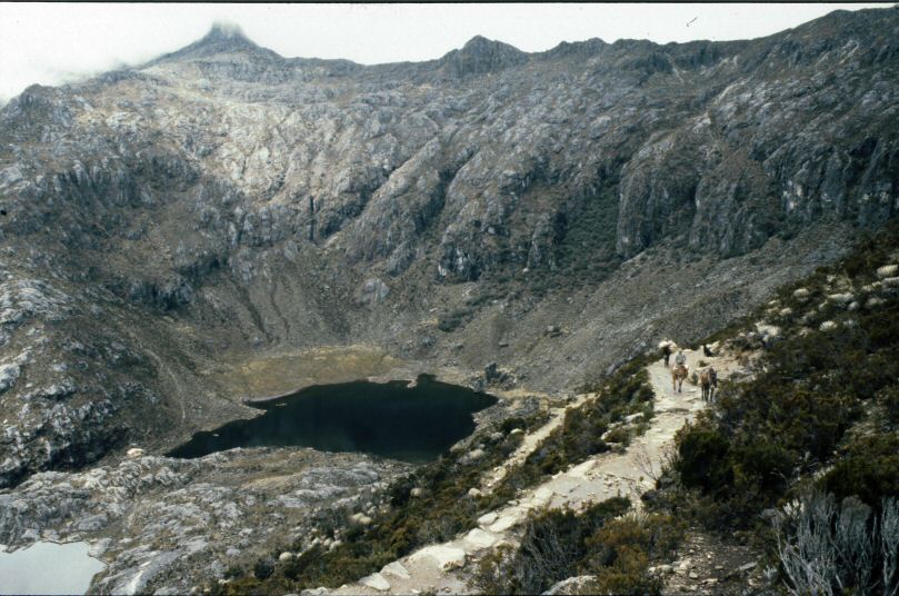 image0272.jpg