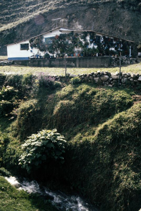 image0284.jpg