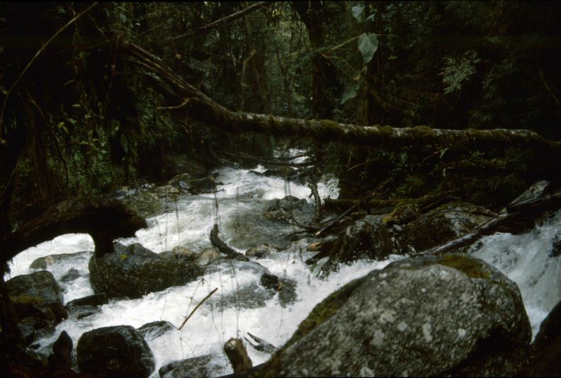 image0342.jpg