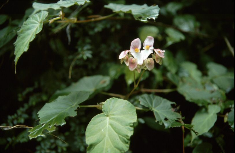 image0346.jpg