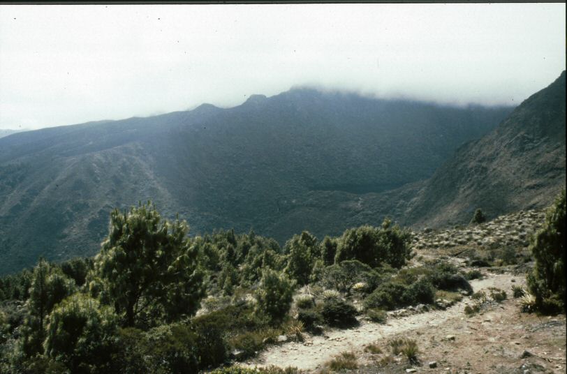 image0361.jpg