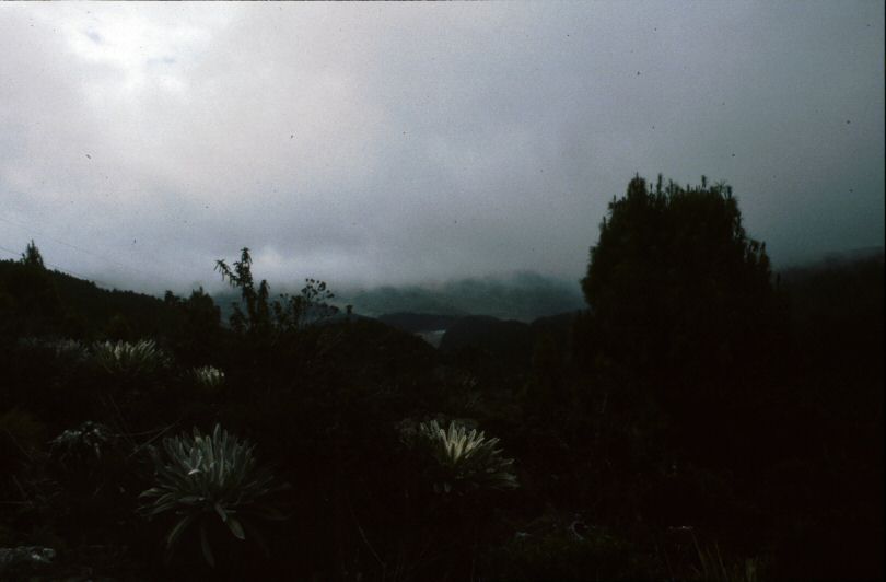 image0367.jpg