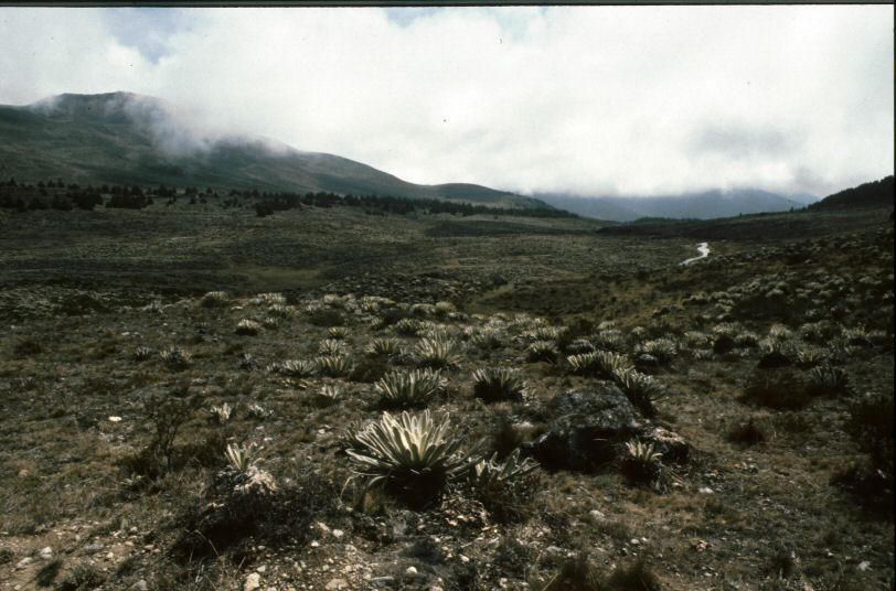 image0369.jpg
