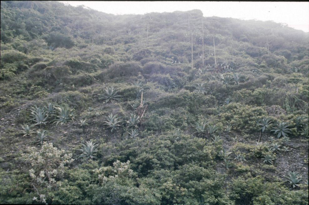 image0020.jpg