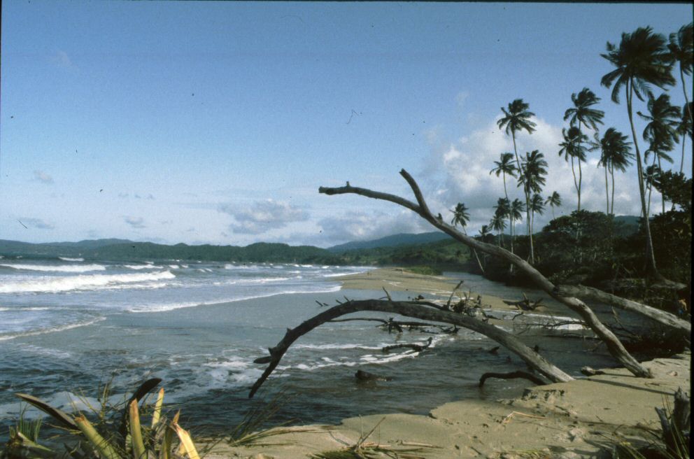image0026.jpg