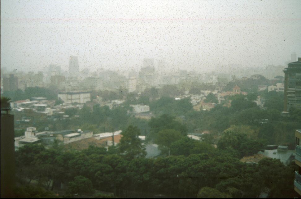 image0050.jpg