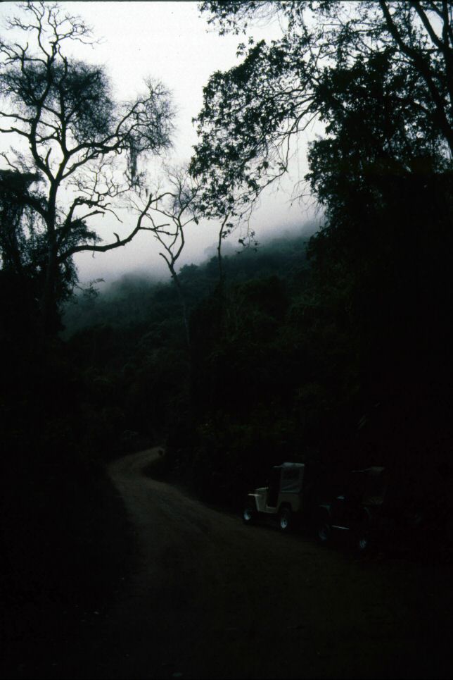 image0051.jpg