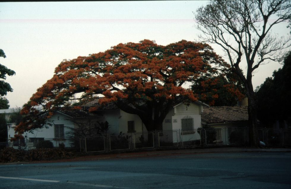 image0118.jpg