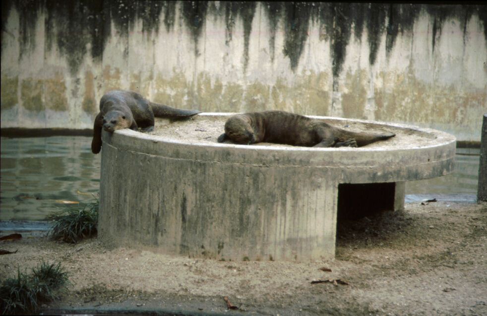 image0128.jpg