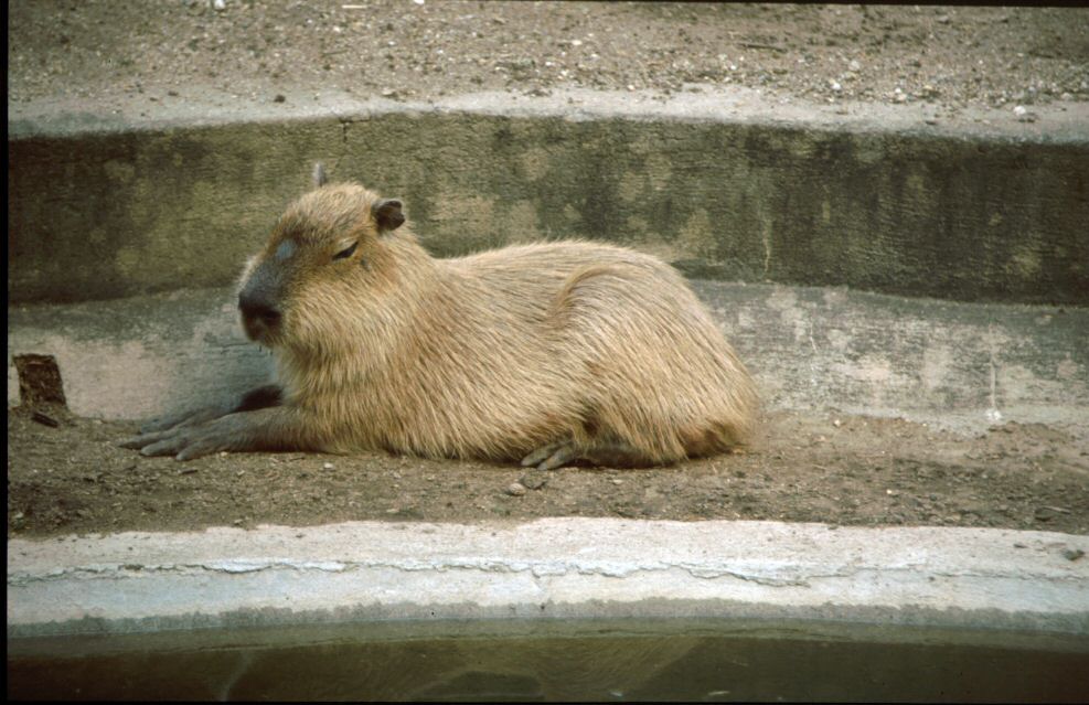 image0130.jpg
