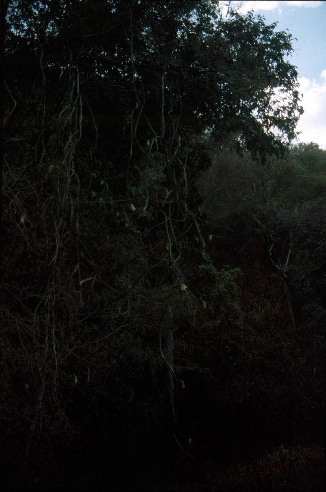 image0132.jpg