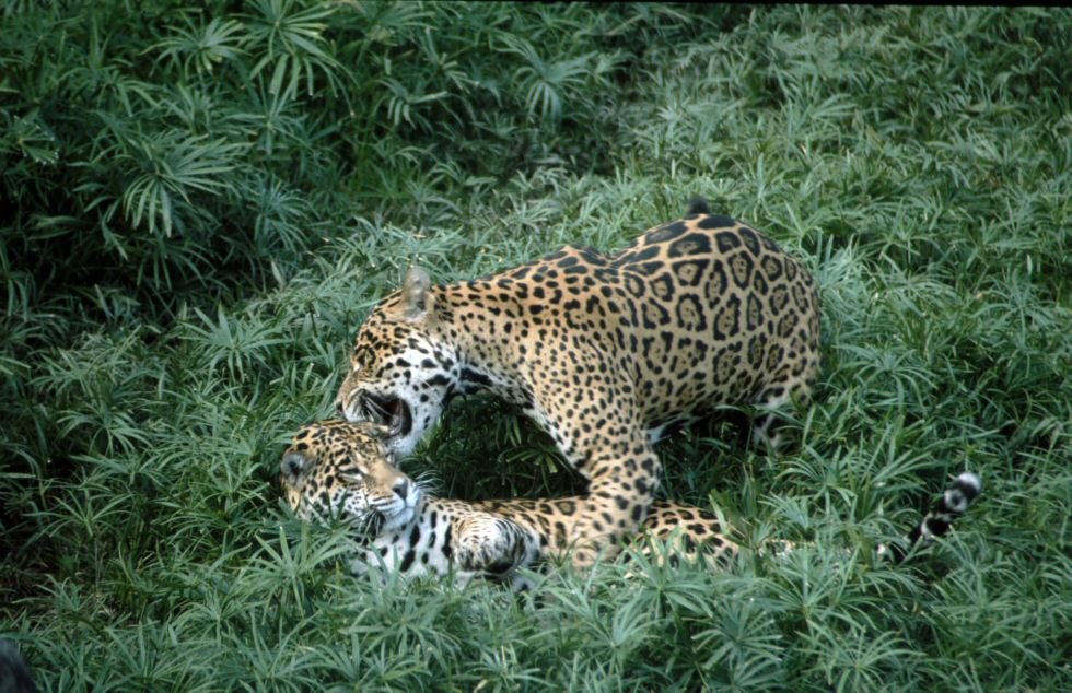image0134.jpg