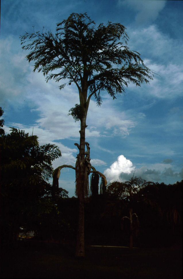 image0135.jpg