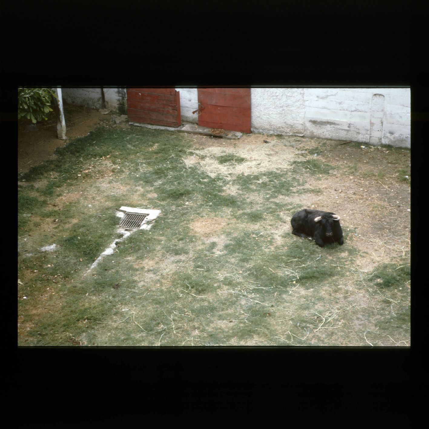 image0163.jpg