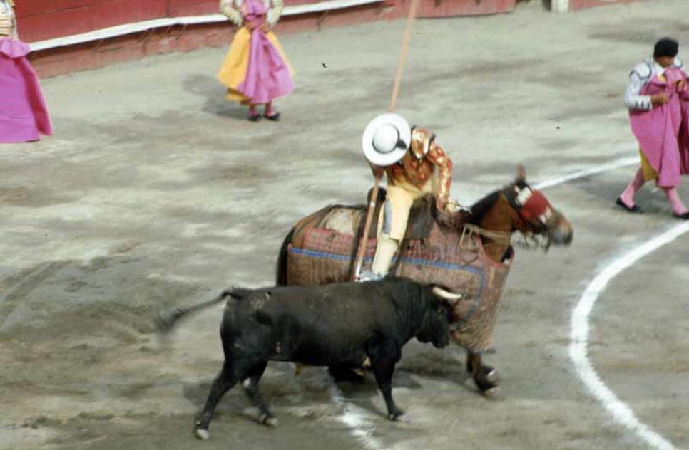 image0194.jpg