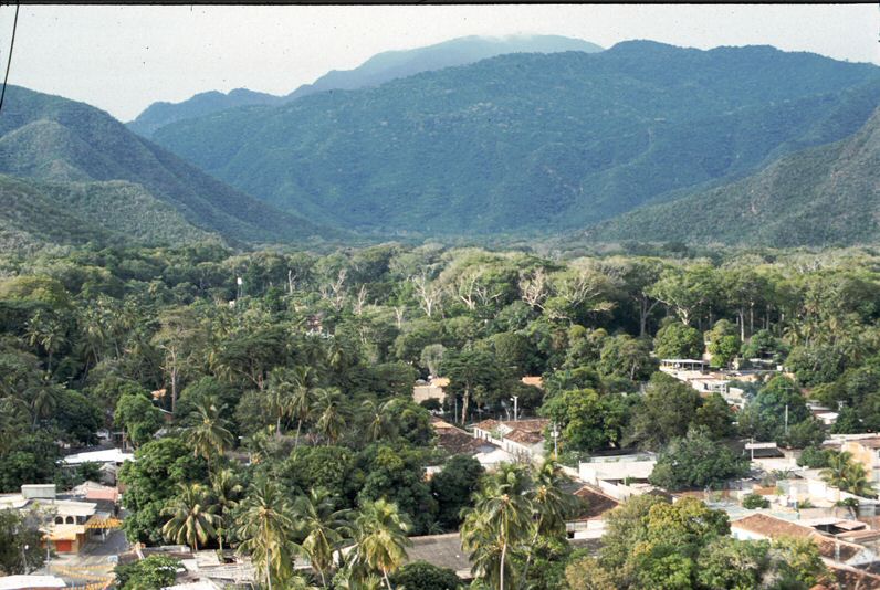 image0002.jpg