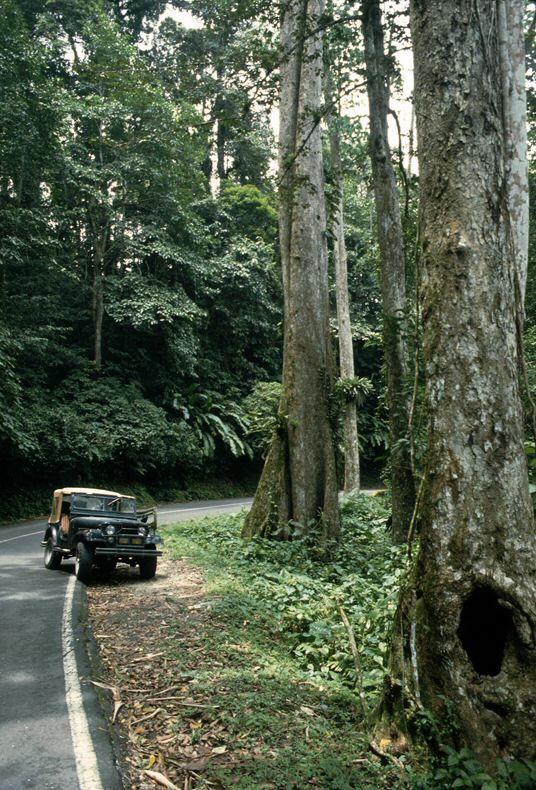 image0010.jpg