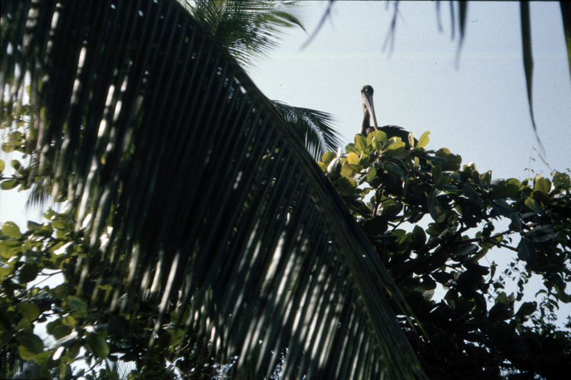image0029.jpg