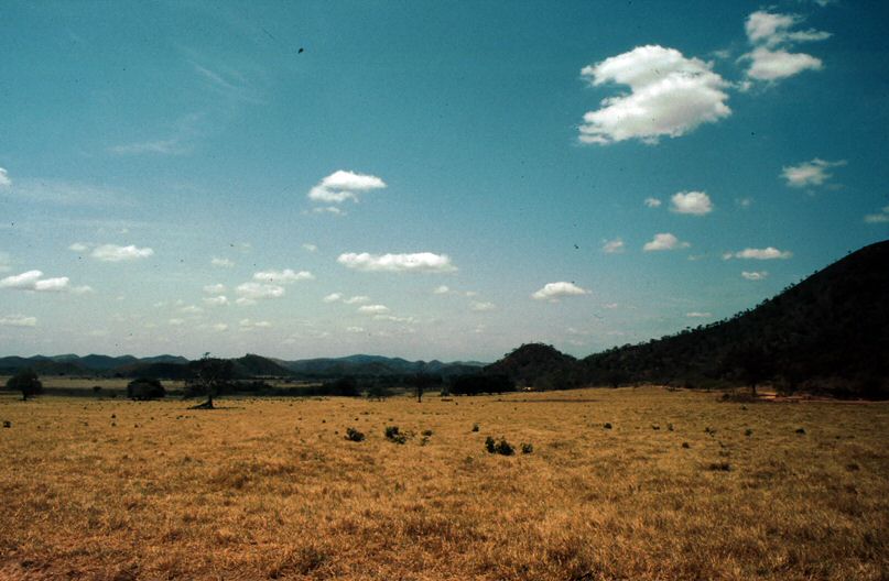 image0015.jpg