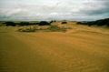 image0050.jpg