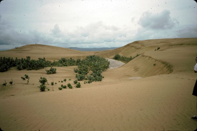 image0065.jpg