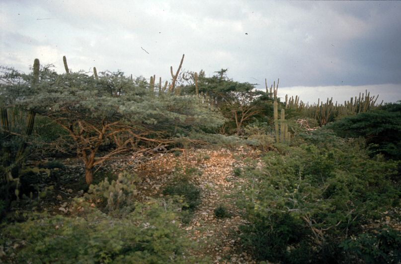 image107.jpg