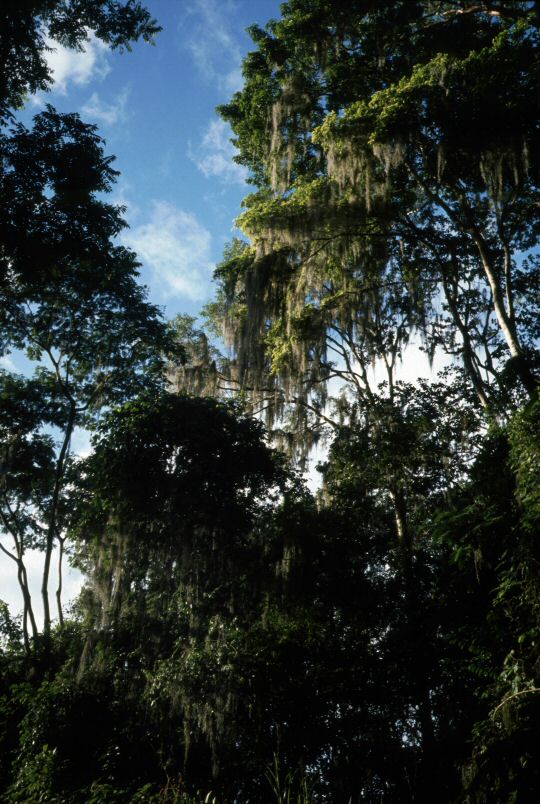 image0427.jpg