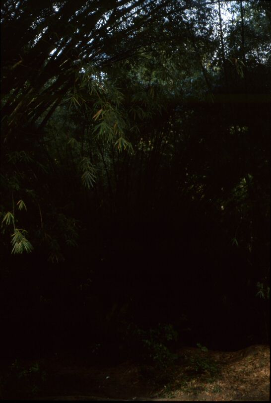 image0429.jpg