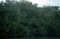 image0445.jpg