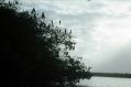 image0446.jpg