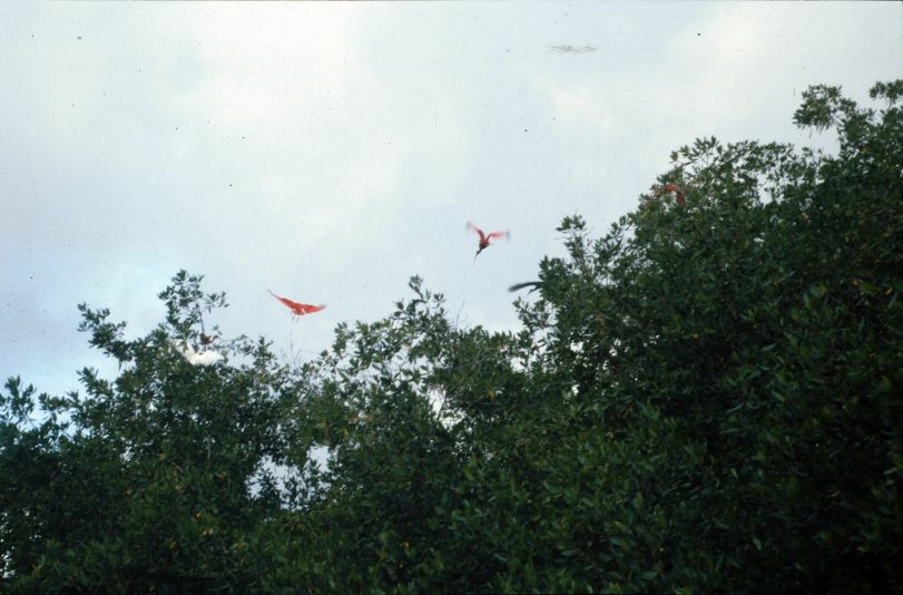 image0448.jpg